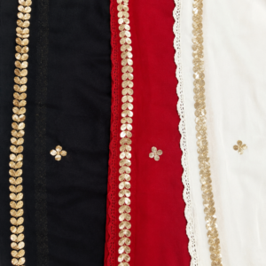 A Chikankari Closet Chiffon Dupatta With Gotapatti