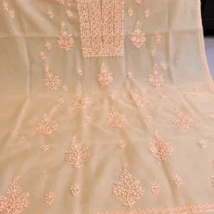 Organza Chikankari Suit With Hand Embroidery